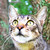 :iconpastureprincess: