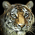 :iconpasxalw:
