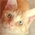 :iconpatatipatata123: