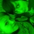:iconpatcha-and-gellito: