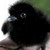 patchling :iconpatchling: