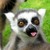 :iconpatchpics: