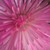 :iconpatchwork-heart100:
