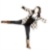 :iconpatchworkpandaboat: