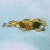 :iconPatDoherty: