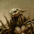 :iconpathdarksoul: