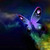 :iconpathfinder-elf:
