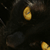 :iconpatienceburns: