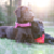 PatienceBurns :iconpatienceburns: