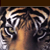 :iconpatlash-art: