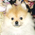 :iconpatorishikulove: