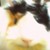 :iconpatoxcine: