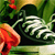 :iconpatricia-t: