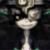 :iconpatrick212:
