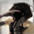 :iconpatrickmillais: