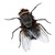:iconpatriot121: