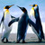 :iconpatsy1970: