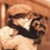 :iconpattes: