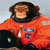 :iconpaul-animator: