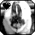 :iconpaula12345: