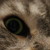 paulbaey :iconpaulbaey: