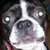 :iconpaule225: