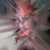 :iconpauli0: