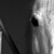 :iconpauliine-j: