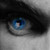:iconpaulindrome: