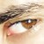 :iconpaulo-valadares: