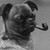 :iconpaupersoul: