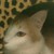 :iconpause4paws: