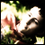 :iconpavel89l: