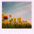 :iconpavot-jaune: