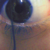 :iconpaw-inwonderland: