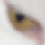 :iconpaw15: