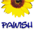 :iconpawish8: