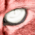 :iconpawptart: