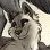 :iconpaws-windfeather: