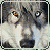 :iconpawsofsharpclaw: