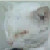 :iconpazioplz:
