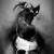 Pazu-loves-sheeta :iconpazu-loves-sheeta: