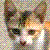 :iconpb16: