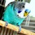 :iconpc20xx: