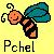 :iconPchel:
