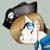 :iconpcots: