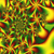 :iconpCubensiS: