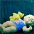 :iconpe-pa: