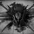 :iconpeac3walker: