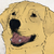 :iconpeacedogg: